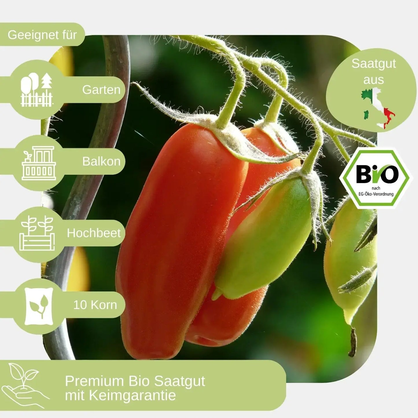 Bio-San-Marzano-2-Samen-geeignet für