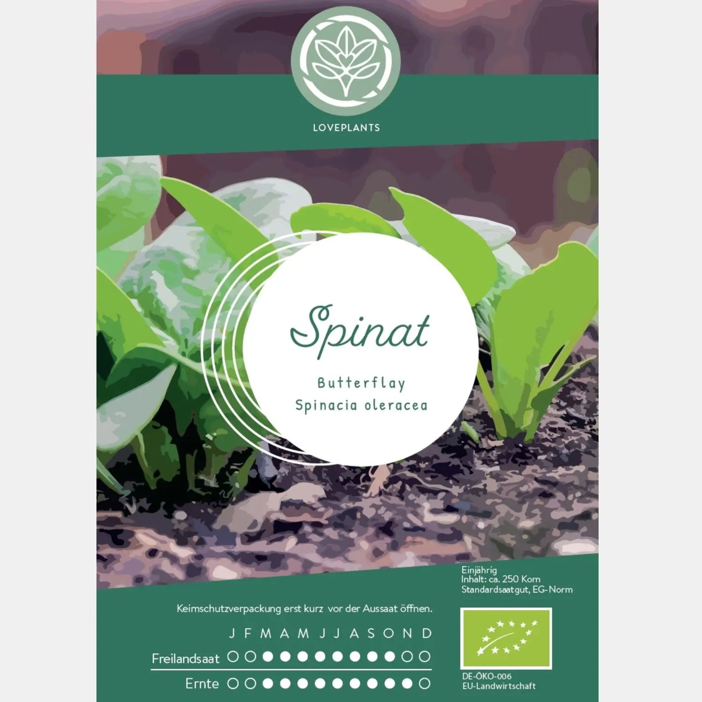 Bio-Spinat-Samen-kaufen