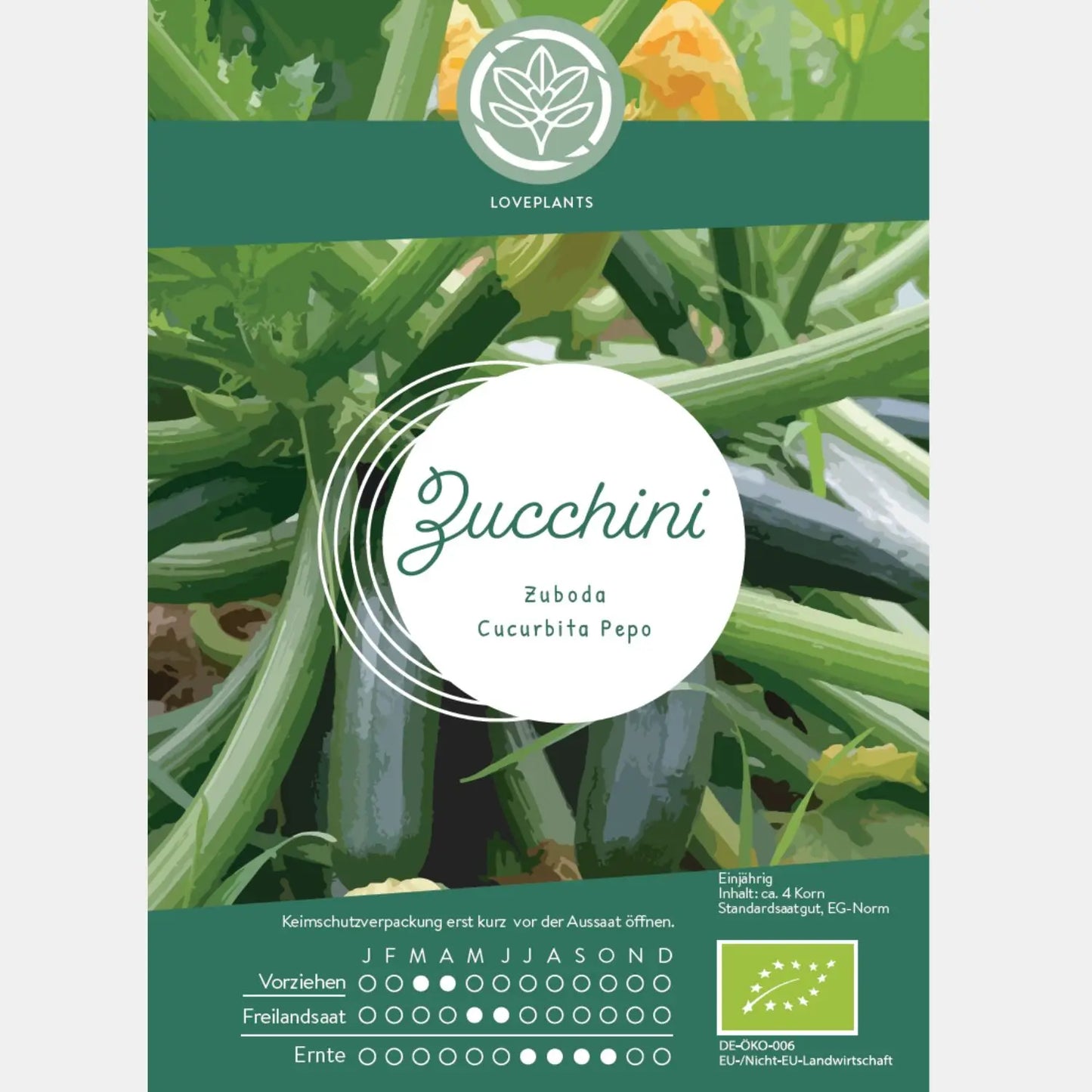 Bio-Zucchini-Samen-kaufen