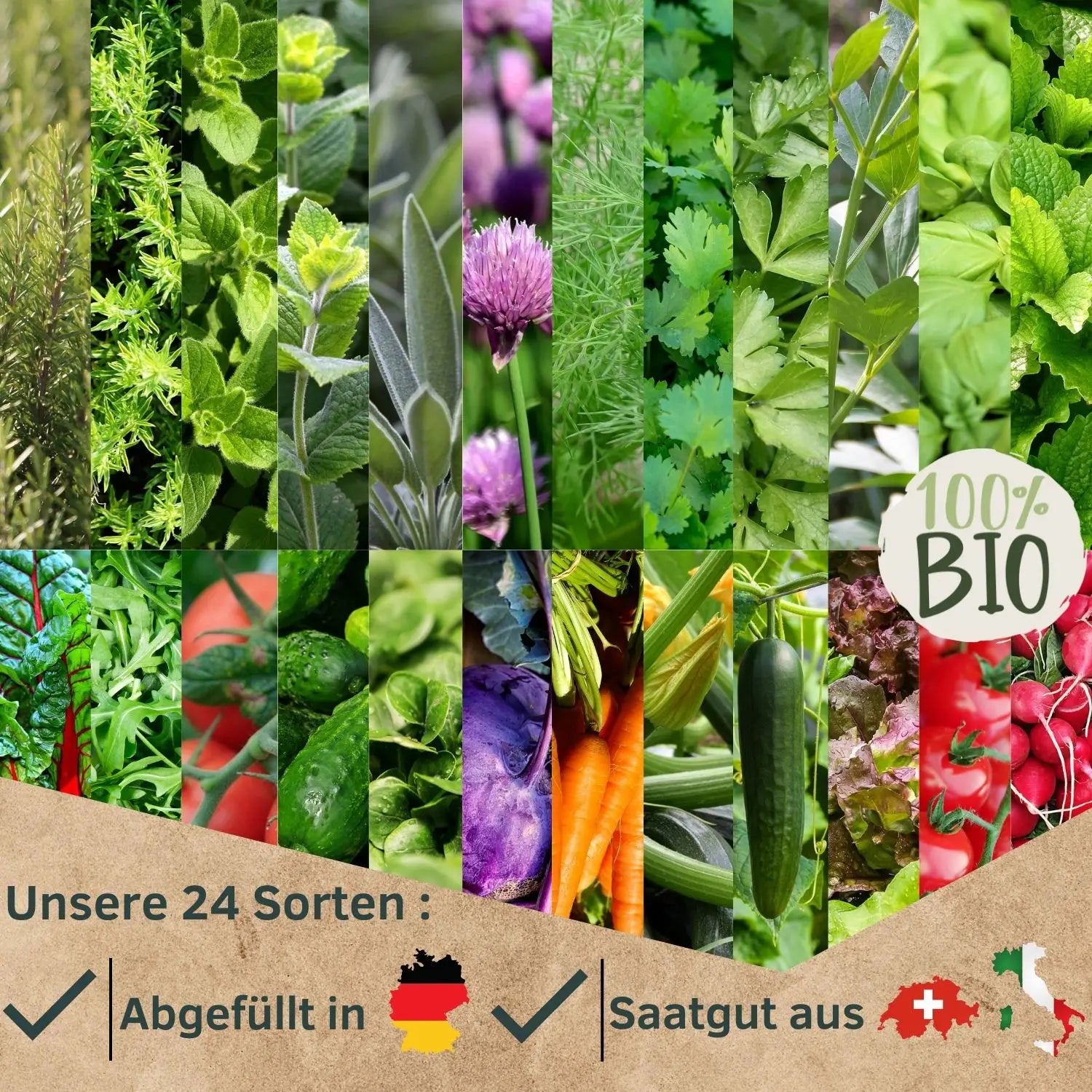 Bio Saatgut Adventskalender mit 24 Sorten