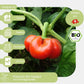 Bio Tomatenpaprika Samen geeignet für